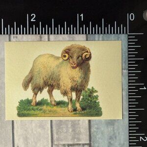 🌀10/$10🌀 Classic Hoofed Beasts Reusable Washi Sticker Decal